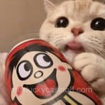 Avatar de Melissa Montoya